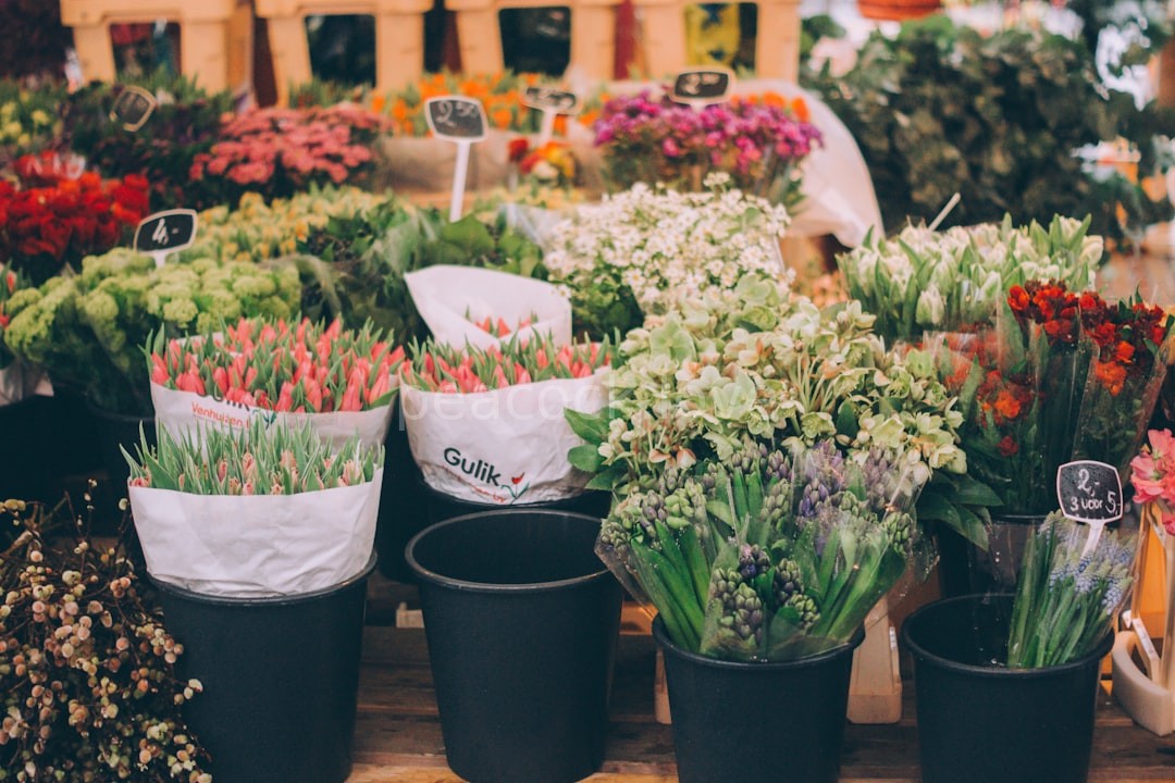 Florist workspace